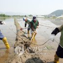 한식청명