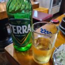 나노갈매기 이미지