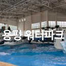 플라스틱아일랜드 - 천안시 서북구 공원로 196 | [평창 여행] 용평워터파크 피크아일랜드 이용후기 할인, 준비물, 락커, 키즈풀까지 초등아이랑 가볼만한...