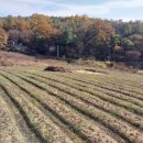 양지농장 이미지