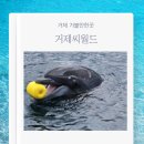 돌고래식당 | 거제 가볼만한곳 거제씨월드 벨루가 돌고래 식당 카페 주차 방문 후기