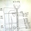 척추와 뼈대를 바로 세워야 건강해진다 이미지