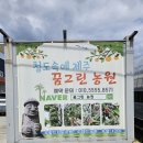 대구 근교 아이랑 - 청도 꿈그린농원 사과 따기 체험하기