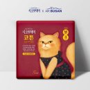 에어부산 주식회사 이미지