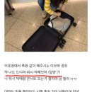 알리바 호텔 | 25.11.02