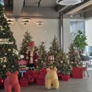 상남동272 이미지