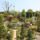 연어의고향 이미지