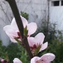 하효청소년문화의집 이미지