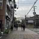 미모목욕탕 | [일본] 오사카 5박 6일 자유여행 4일차🇯🇵교토 기모노 렌탈 👘교토 교에츠🌸뛰어보자 팔짝