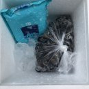 씨지 컴퍼니 이미지