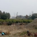 주연약국 이미지