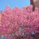 써머스학원 이미지