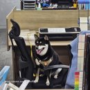 두라농장 | [일상] 휴가와 귀여운친구들, 먹기가 가득한 8월의 사회복지사 일상