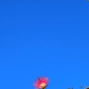 빛과에너지 이미지