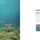 호텔 엘파크 이미지