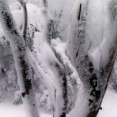 영풍치킨 이미지