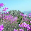 아카시아집 민박 이미지