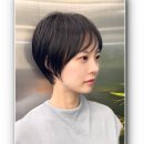 에이치파마 이미지