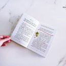 교과서 쏙 책으로 놀아요 | 영어 상위권으로 가는 홈스쿨링 비결 초6 [길벗스쿨 미국교과서 리딩]