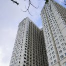 골든컵 | 다낭 호텔 추천 윈덤다낭골든베이 코너스위트룸 4인 가족 숙소 후기