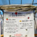 [경기 광주 퇴촌] 경기도 겨울 체험 학습 추천 무농약 딸기체험 향아 딸기농원