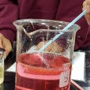 OIL LAB 이미지