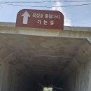 전북 임실군 운암면 옥정호 출렁다리 요산공원 산책/2025.6.7.토 이미지