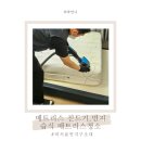아기 있는 집 진드기,먼지 매트리스 청소 비치움 먼지구조대