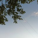 메종동물병원 이미지