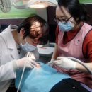 안성시보건소 이미지