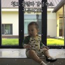 구촌리285