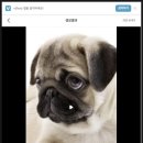 감일백제중학교 이미지