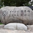 경주 불국사 겹벚꽃(2021, 4, 16) 이미지