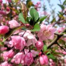 학자농원 이미지