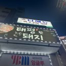 태평한돼지 이미지
