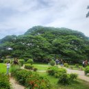 자이언트트리