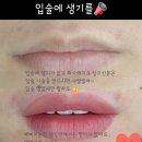 눈썹하러오세요📣 이미지