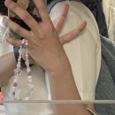 유심히 관찰하며 나홀로 떠난 묵호·동해 여행 1