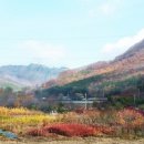 주봉농장 이미지