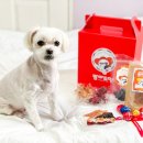 맘마드멍 이미지