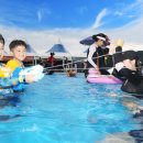 칠곡보야외물놀이장 이미지