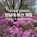 금호고속(주) 정비공장 | 안양 효성 진달래 동산 17개월 아기랑 다녀온 후기