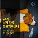 리움동물의료센터 이미지