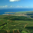 [뉴스] 알로하! 푸른 바다 향을 머금은 하와이 ‘코나 커피’ 이미지