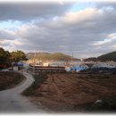마도입구.신진도 티스토리