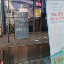 도화갈매기 이미지