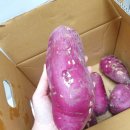 경일농장 이미지