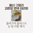 김원장면역테라피 이미지