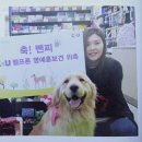 한성편의점 이미지
