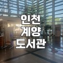인천광역시교육청계양도서관 | 아이들과 여름 방학 때 가기 좋은 인천 계양 도서관